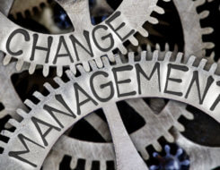 Change Management (© EtiAmmos / stock.adobe.com)