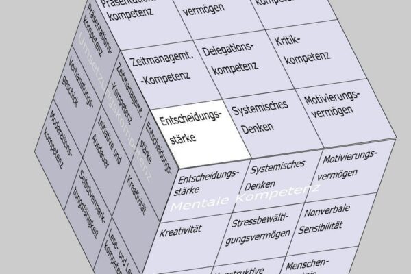 Entscheidungsstärke als Soft Skill im Kompetenzfeld "Mentale Kompetenz" des Soft Skills Würfels (© André Moritz, www.soft-skills.com)