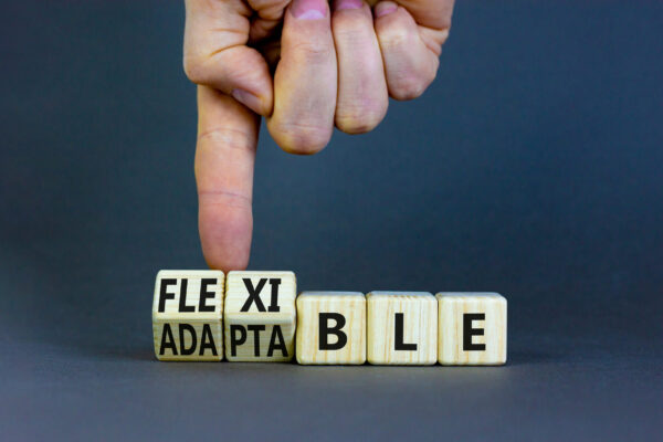 Flexibilität und Anpassungsfähigkeit (© Dzmitry / stock.adobe.com)