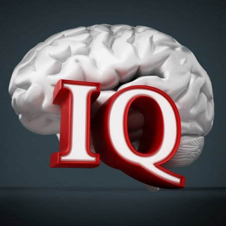 Intelligenz messen / IQ testen | Was ist zu halten von gängigen IQ Tests? (© Cigdem / Fotolia)