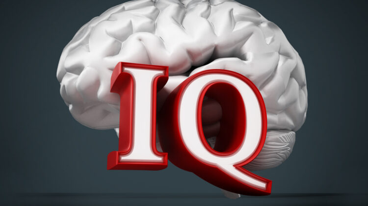Intelligenz messen / IQ testen | Was ist zu halten von gängigen IQ Tests? (© Cigdem / Fotolia)