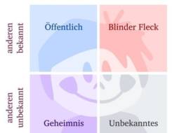 Das JOHARI-Fenster mit seinen vier Quadranten (© thingamajiggs / Fotolia)