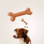 Konditionierung, Pawlow und der Hund (© ra2 Studio / Fotolia)