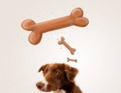 Konditionierung, Pawlow und der Hund (© ra2 Studio / Fotolia)