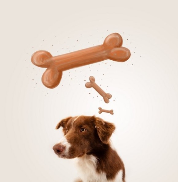 Konditionierung, Pawlow und der Hund (© ra2 Studio / Fotolia)