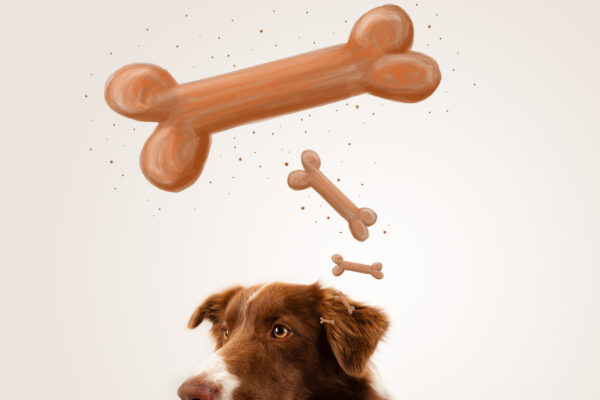 Konditionierung, Pawlow und der Hund (© ra2 Studio / Fotolia)