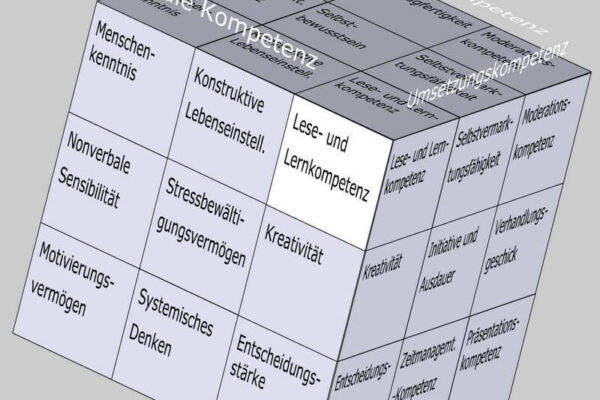 Lese- und Lernkompetenz als Soft Skill im Kompetenzfeld "Mentale Kompetenz" des Soft Skills Würfels (© André Moritz, www.soft-skills.com)