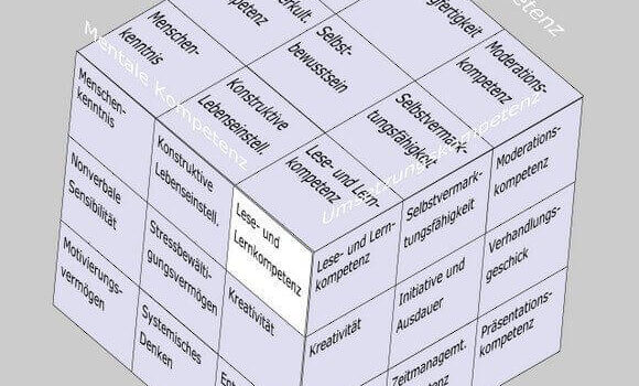 Lese- und Lernkompetenz im Soft Skills Würfel von André Moritz (© www.soft-skills.com)