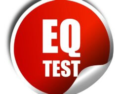 EQ Test: Mayer-Salovey-Caruso Emotionale Intelligenz Test (© Argus / Fotolia)