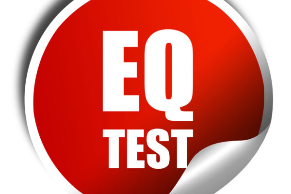 EQ Test: Mayer-Salovey-Caruso Emotionale Intelligenz Test (© Argus / Fotolia)