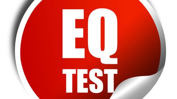 EQ Test: Mayer-Salovey-Caruso Emotionale Intelligenz Test (© Argus / Fotolia)
