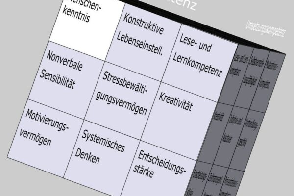 Menschenkenntnis als Soft Skill im Kompetenzfeld "Mentale Kompetenz" des Soft Skills Würfels (© André Moritz, www.soft-skills.com)