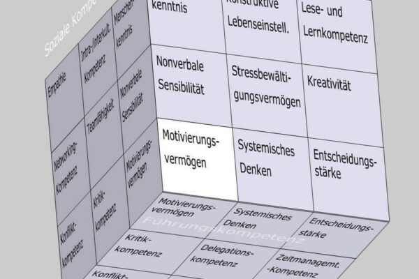 Motivierungsvermögen als Soft Skill im Kompetenzfeld "Mentale Kompetenz" des Soft Skills Würfels (© André Moritz, www.soft-skills.com)