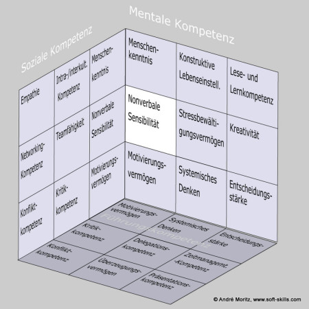 Nonverbale Sensibilität als Soft Skill im Kompetenzfeld "Mentale Kompetenz" des Soft Skills Würfels