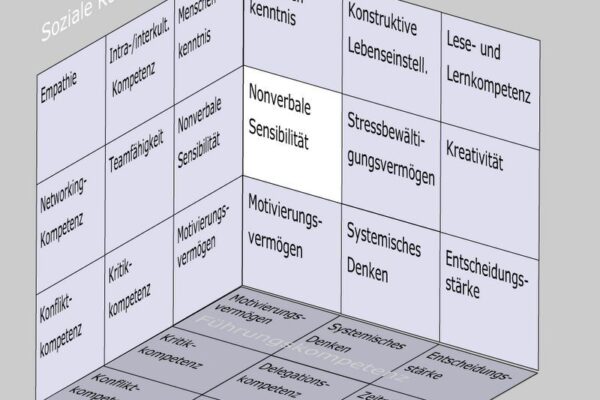 Nonverbale Sensibilität als Soft Skill im Kompetenzfeld "Mentale Kompetenz" des Soft Skills Würfels (© André Moritz, www.soft-skills.com)