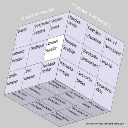 Nonverbale Sensibilität im Soft Skills Würfel