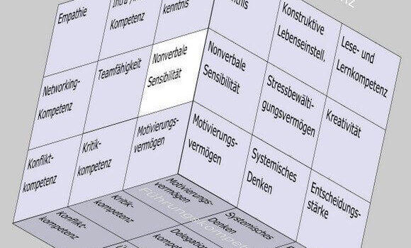 Nonverbale Sensibilität im Soft Skills Würfel von André Moritz (© www.soft-skills.com)