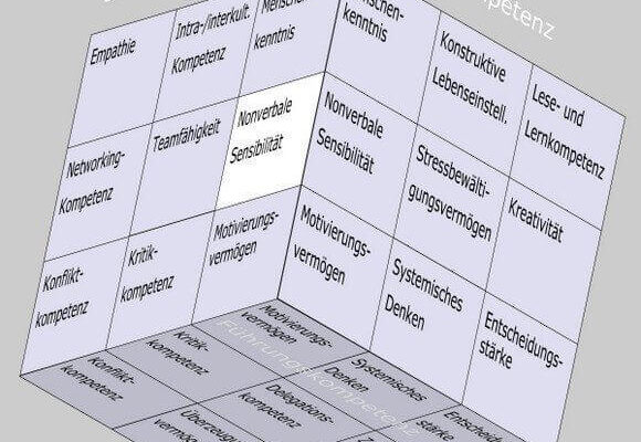 Nonverbale Sensibilität im Soft Skills Würfel von André Moritz (© www.soft-skills.com)