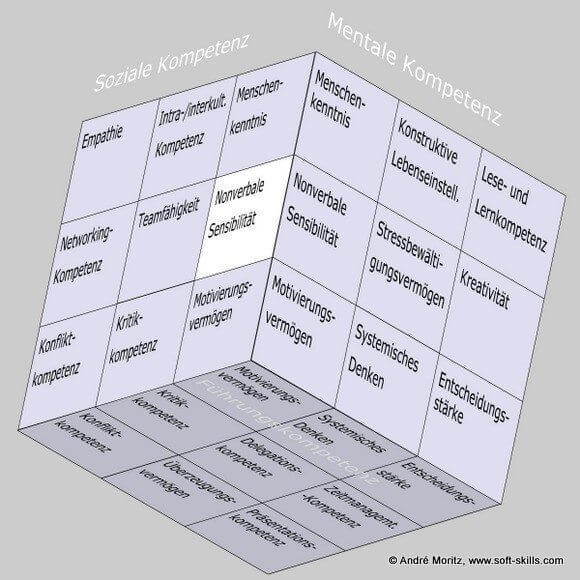 Nonverbale Sensibilität im Soft Skills Würfel