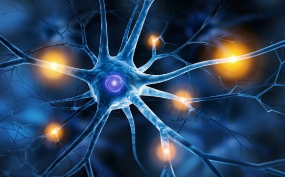 Parasympathikus aktivieren, anregen, stärken - Die Rolle des parasympathischen Nervensystems beim Stressabbau (© psdesign1 / Fotolia)