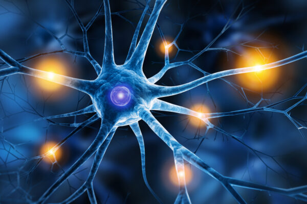 Parasympathikus aktivieren, anregen, stärken - Die Rolle des parasympathischen Nervensystems beim Stressabbau (© psdesign1 / Fotolia)