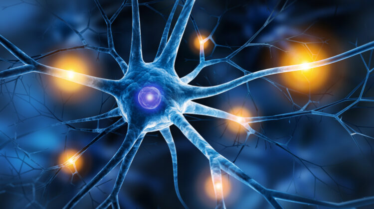 Parasympathikus aktivieren, anregen, stärken - Die Rolle des parasympathischen Nervensystems beim Stressabbau (© psdesign1 / Fotolia)