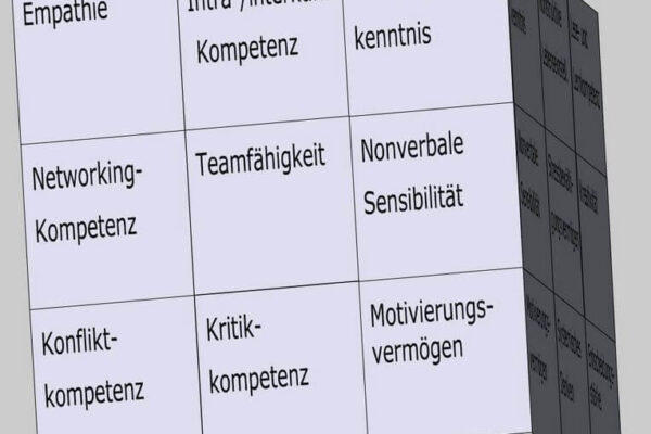 Sozialkompetenz als Kompetenzfeld im Soft Skills Würfel (© André Moritz, www.soft-skills.com)