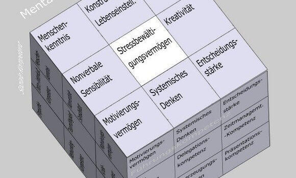 Stressbewältigungsvermögen im Soft Skills Würfel von André Moritz (© www.soft-skills.com)