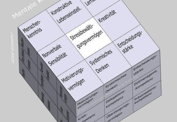 Stressbewältigungsvermögen im Soft Skills Würfel von André Moritz (© www.soft-skills.com)