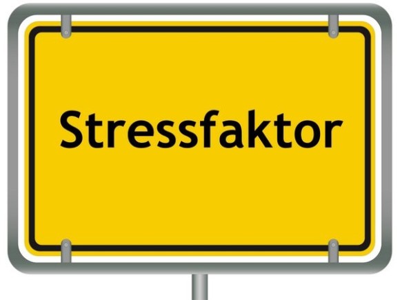 Stressfaktoren lassen sich nach ihrer Beeinflussbarkeit in drei Kategorien unterteilen (© teteline / Fotolia)