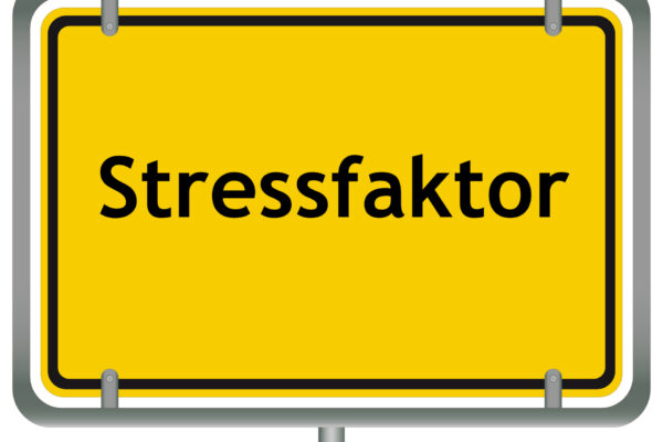 Stressfaktoren lassen sich nach ihrer Beeinflussbarkeit in drei Kategorien unterteilen - und diese Unterteilung kann im Umgang mit Stressoren hilfreich sein (© teteline / Fotolia)