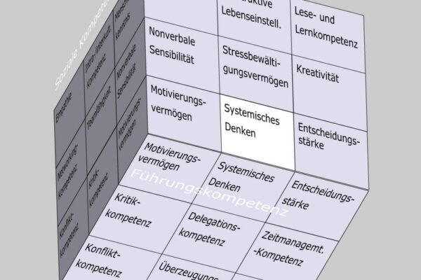 Systemisches Denken im Kompetenzfeld "Mentale Kompetenz" des Soft Skills Würfels (© André Moritz, www.soft-skills.com)