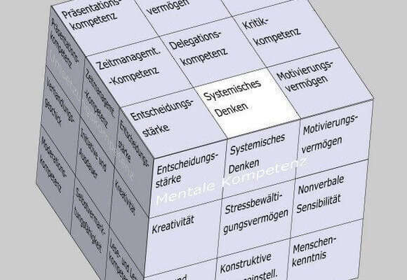 Systemisches Denken im Soft Skills Würfel von André Moritz (© www.soft-skills.com)