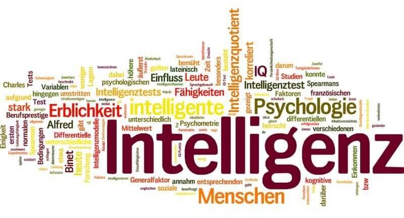 Was ist Intelligenz? - Aspekte des Begriffs auf der Suche nach einer Definition (© fotodo / Fotolia)